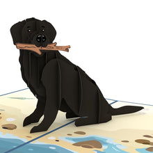 Load image into Gallery viewer, Black Lab