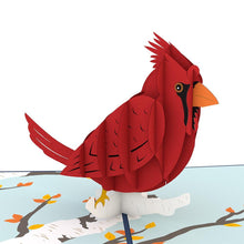 Load image into Gallery viewer, Cardinal
