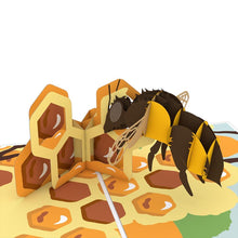 Load image into Gallery viewer, Honeybee