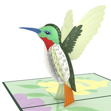 Load image into Gallery viewer, Hummingbird