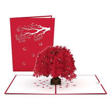 Load image into Gallery viewer, Tree 12 Pack