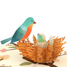 Load image into Gallery viewer, Birds Nest