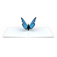 Load image into Gallery viewer, Butterfly Notecards (Assorted 4-Pack)