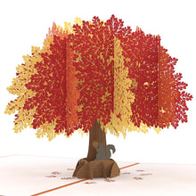 Load image into Gallery viewer, Oak Tree