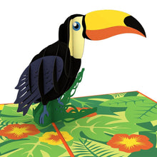 Load image into Gallery viewer, Toucan