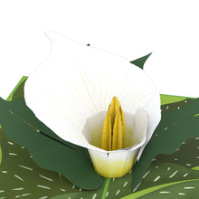 Load image into Gallery viewer, White Calla Lily