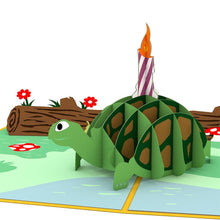 Load image into Gallery viewer, Celebration Turtle
