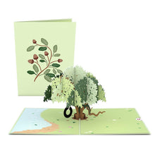 Load image into Gallery viewer, Tree 12 Pack
