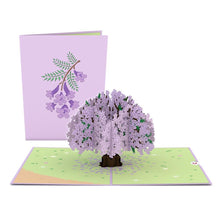 Load image into Gallery viewer, Tree 12 Pack
