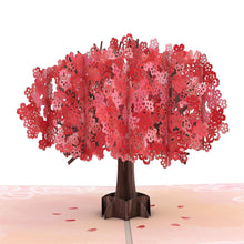 Load image into Gallery viewer, Mother's Day Red Sakura
