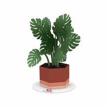 Load image into Gallery viewer, Stickerpop: Monstera (1 Pack)
