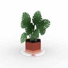 Load image into Gallery viewer, Stickerpop: Monstera (5 Pack)
