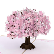 Load image into Gallery viewer, Cherry Blossom
