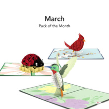 Load image into Gallery viewer, Pack of the Month - Favorites
