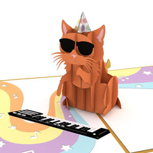 Load image into Gallery viewer, Party Cat
